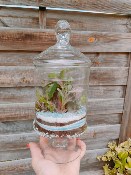 Terrarium “Oasi” _ un giardino sottovetro