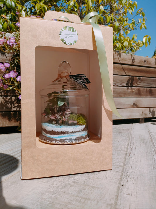 Bomboniera terrarium con acquamarina 