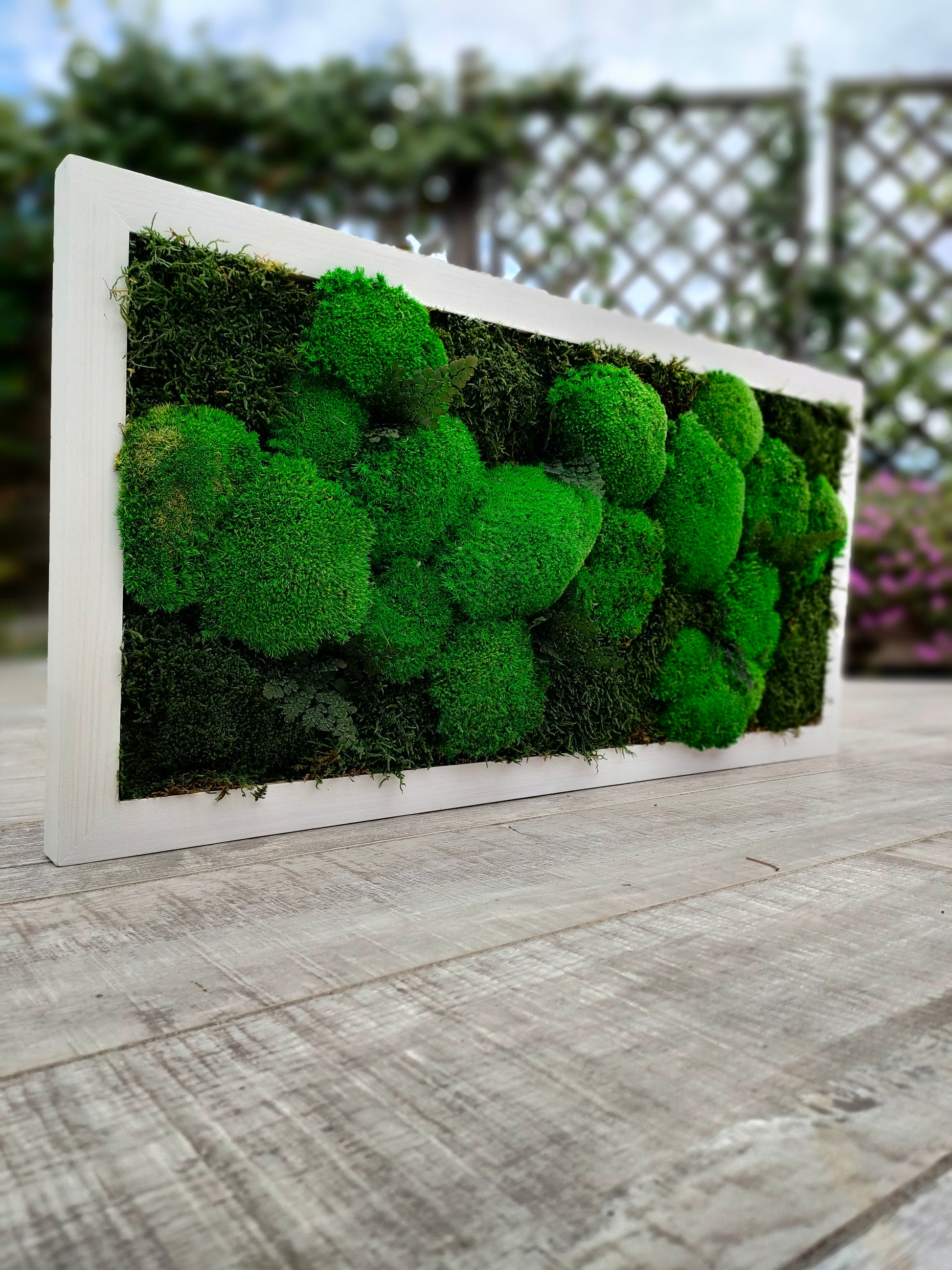 Cornice con muschi licheni e felci stabilizzate