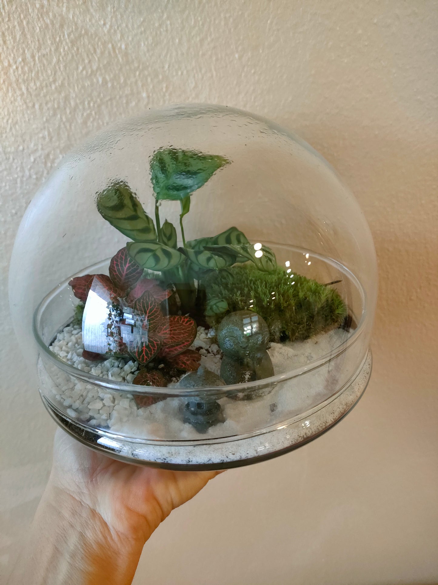 🧘‍♂️ Terrarium Zen Globo – Giardino di Pace in Miniatura