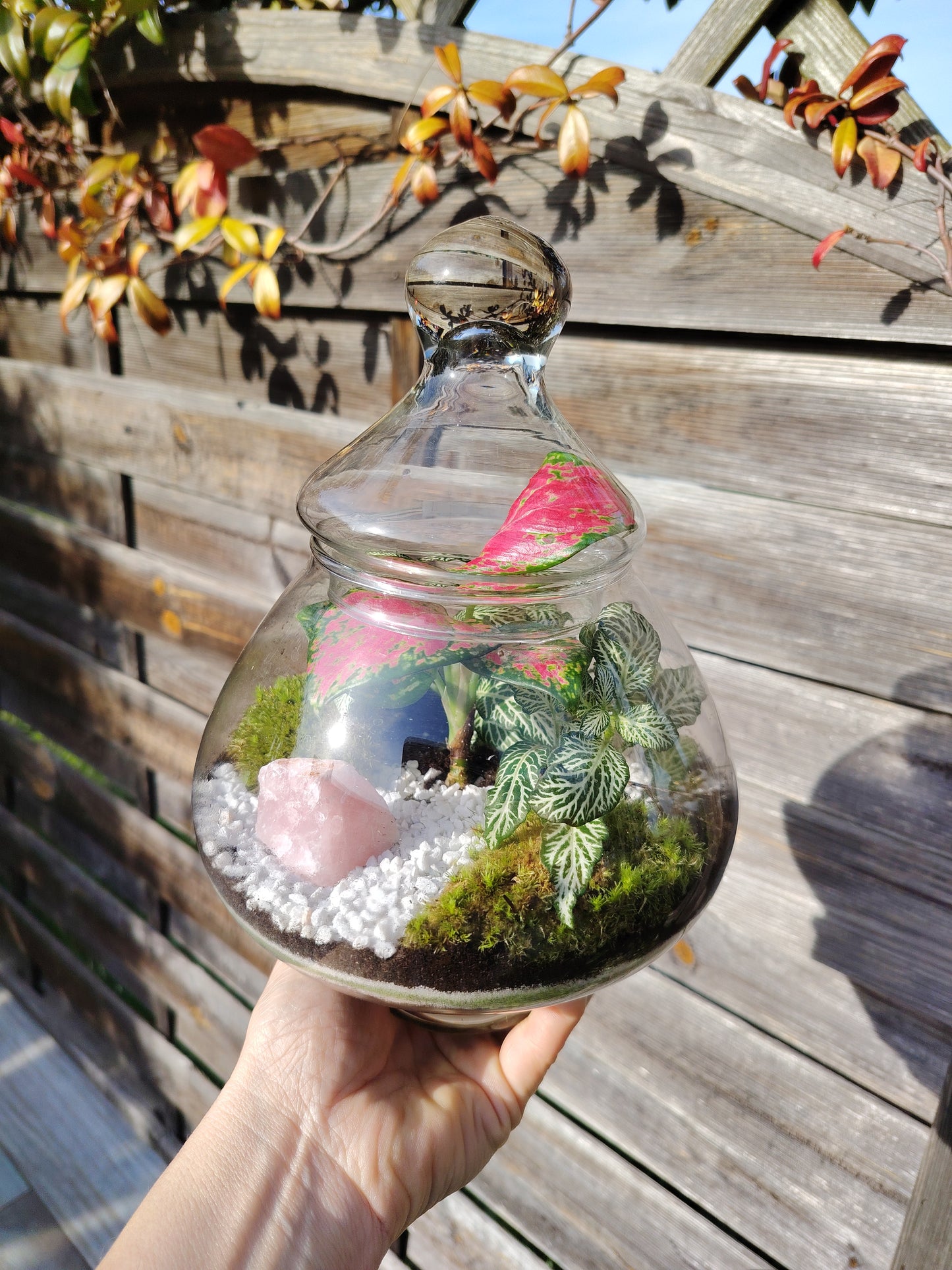 Terrarium “Goccia”