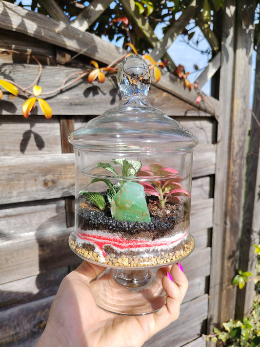 Terrarium “Oasi” _ un giardino sottovetro