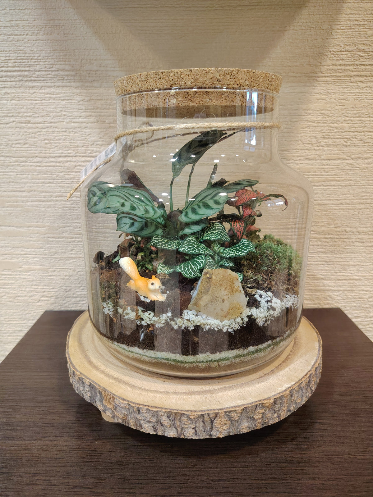 Terrarium artigianale Bosco Incantato 01 in terrarium di vetro con fittonie, muschio e piccolo scoiattolo autunnale.