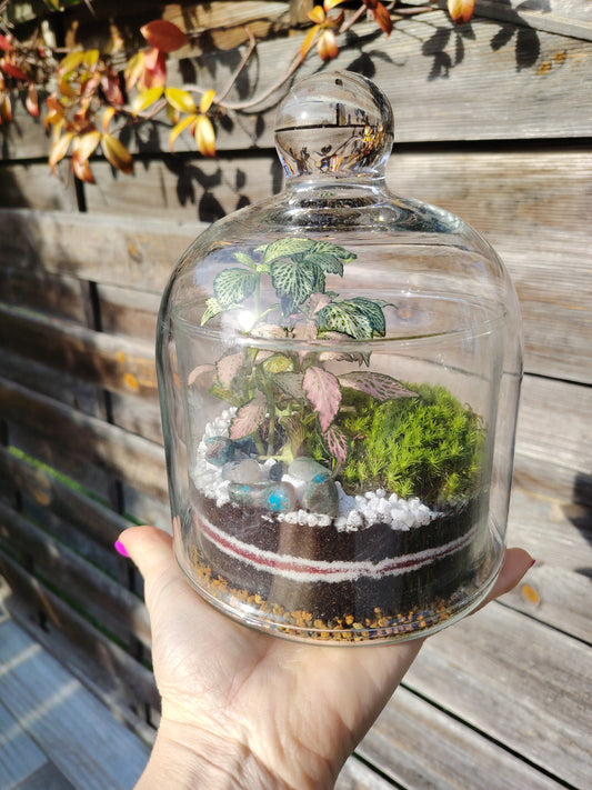 Terrarium “Gemma”