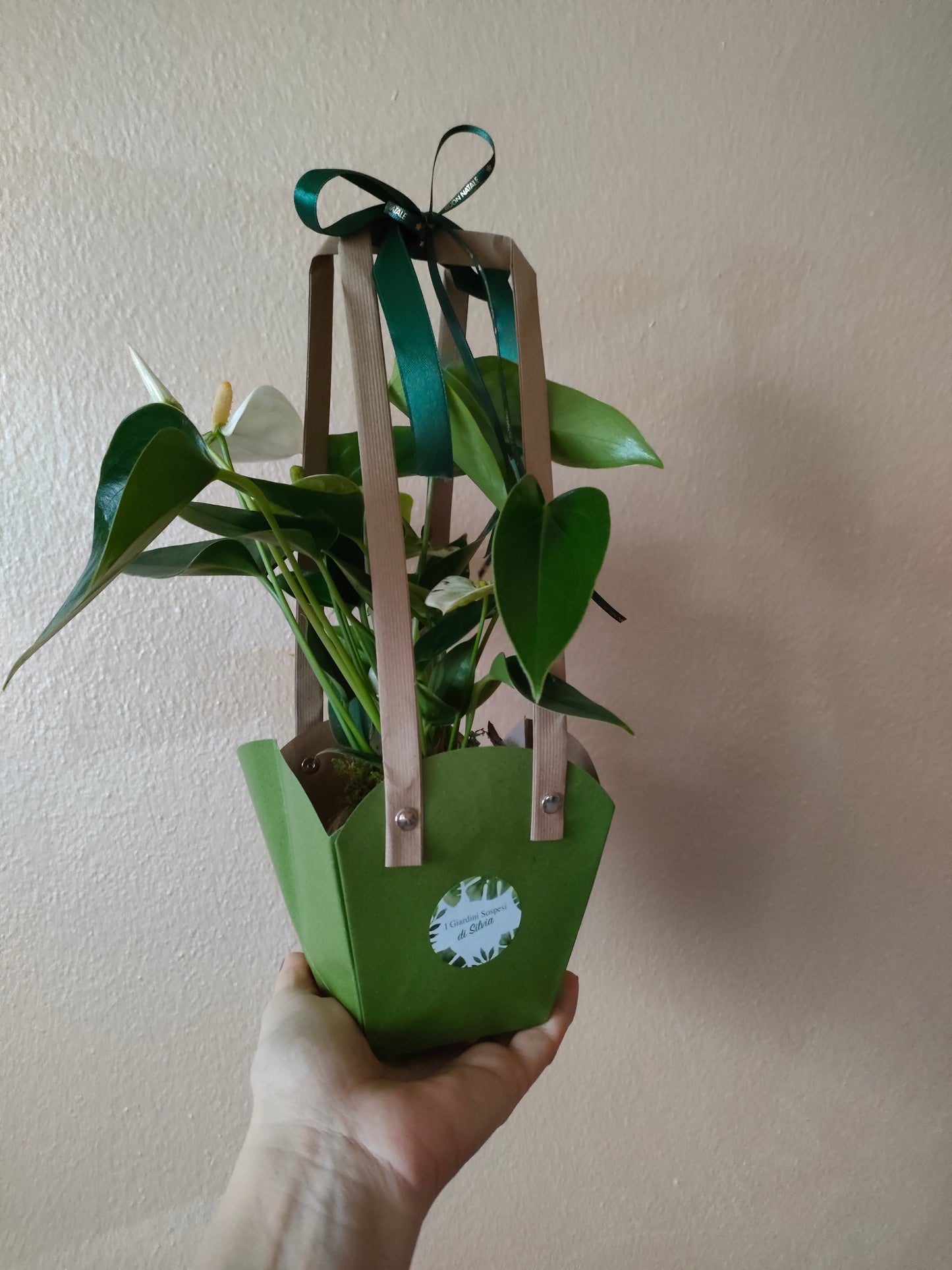 Bomboniere kokedama anthurium 