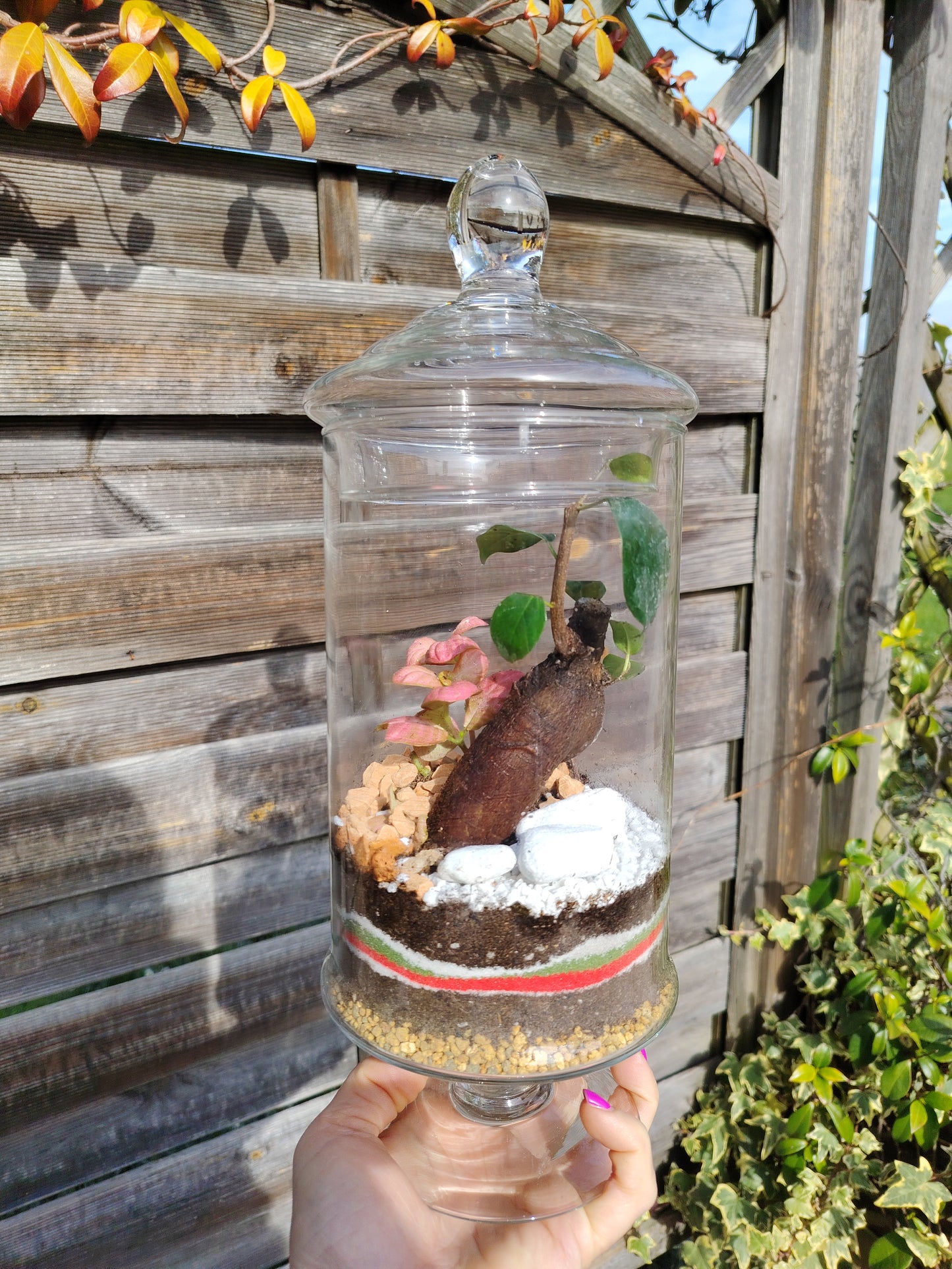 Terrarium “Oasi” _ un giardino sottovetro