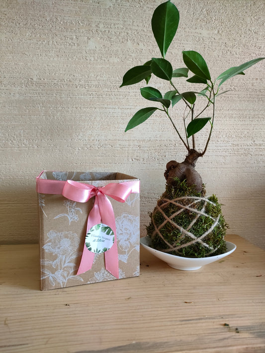 Kokedama artigianale per matrimonio green