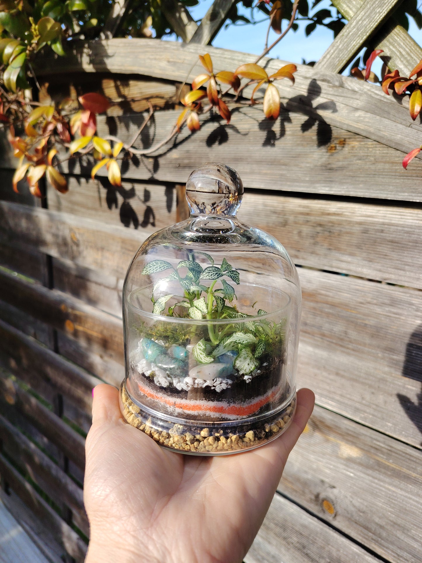 Terrarium “Gemma”