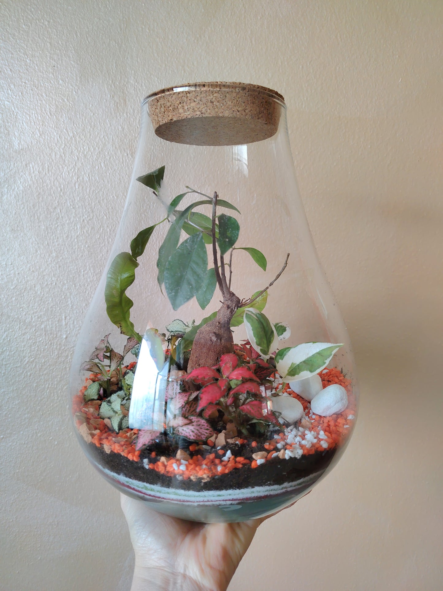Terrarium