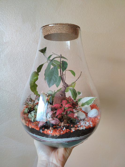 Terrarium