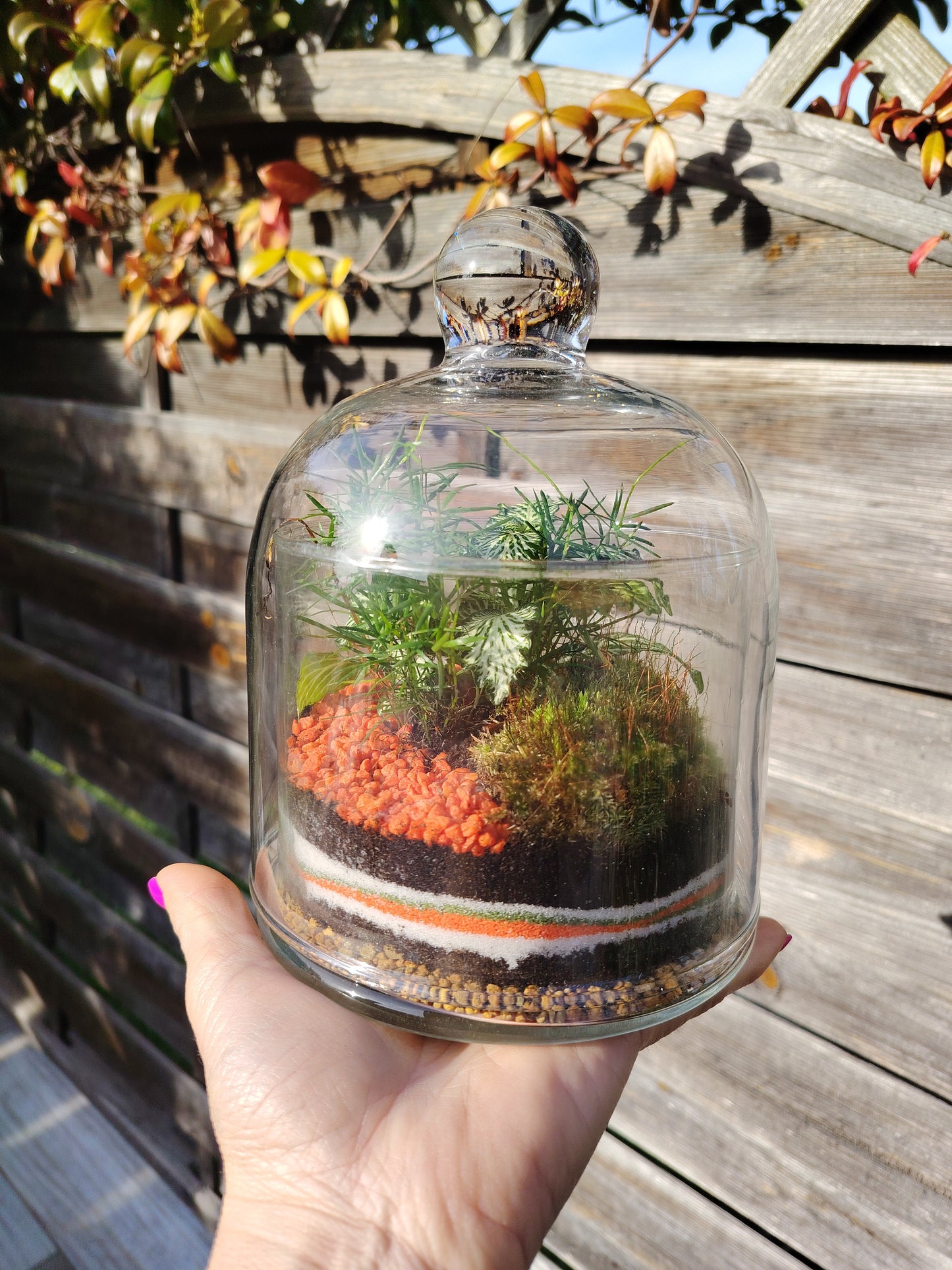 Terrarium “Gemma”