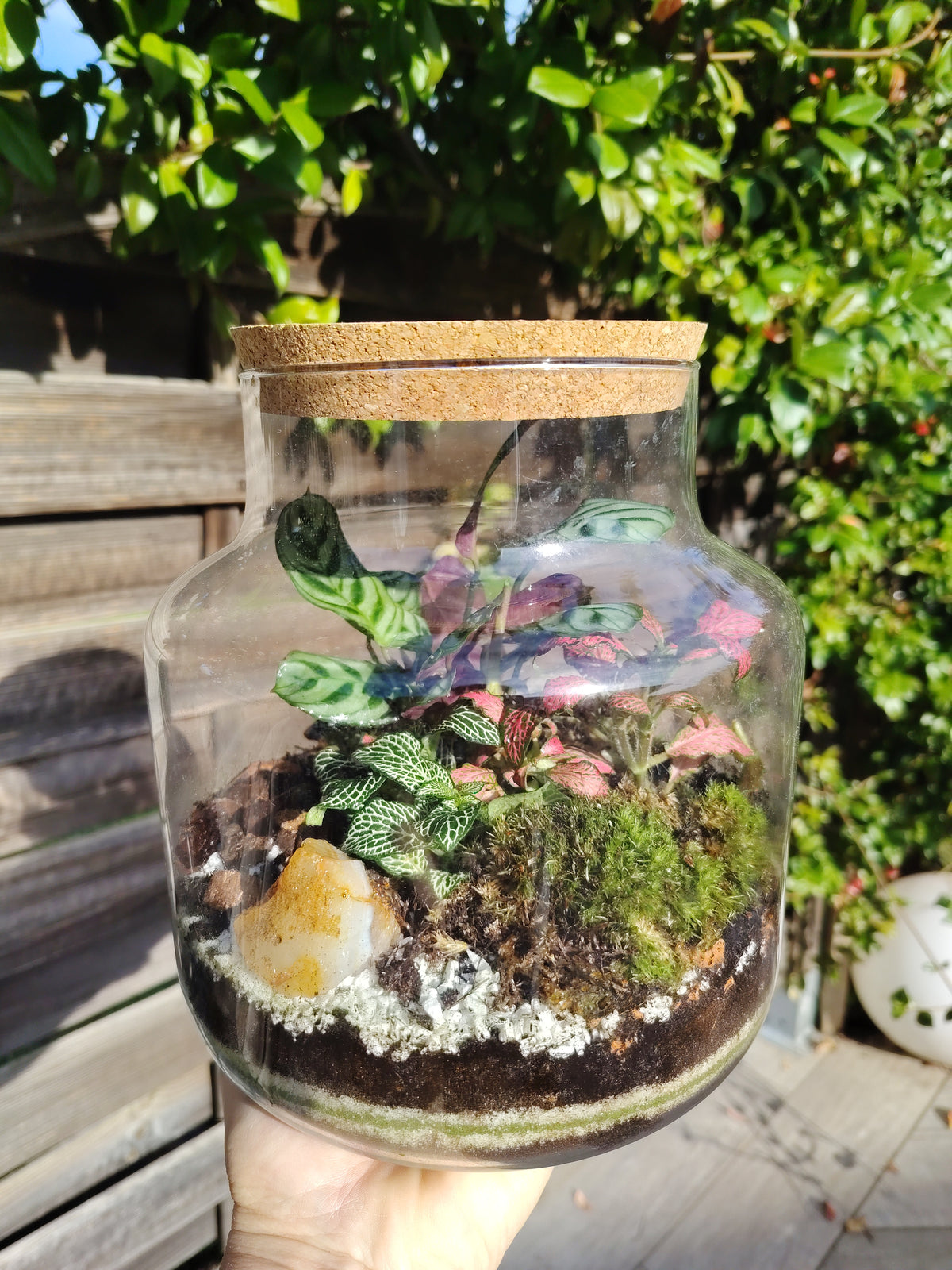 Terrarium Damigiana con Agata Grezza