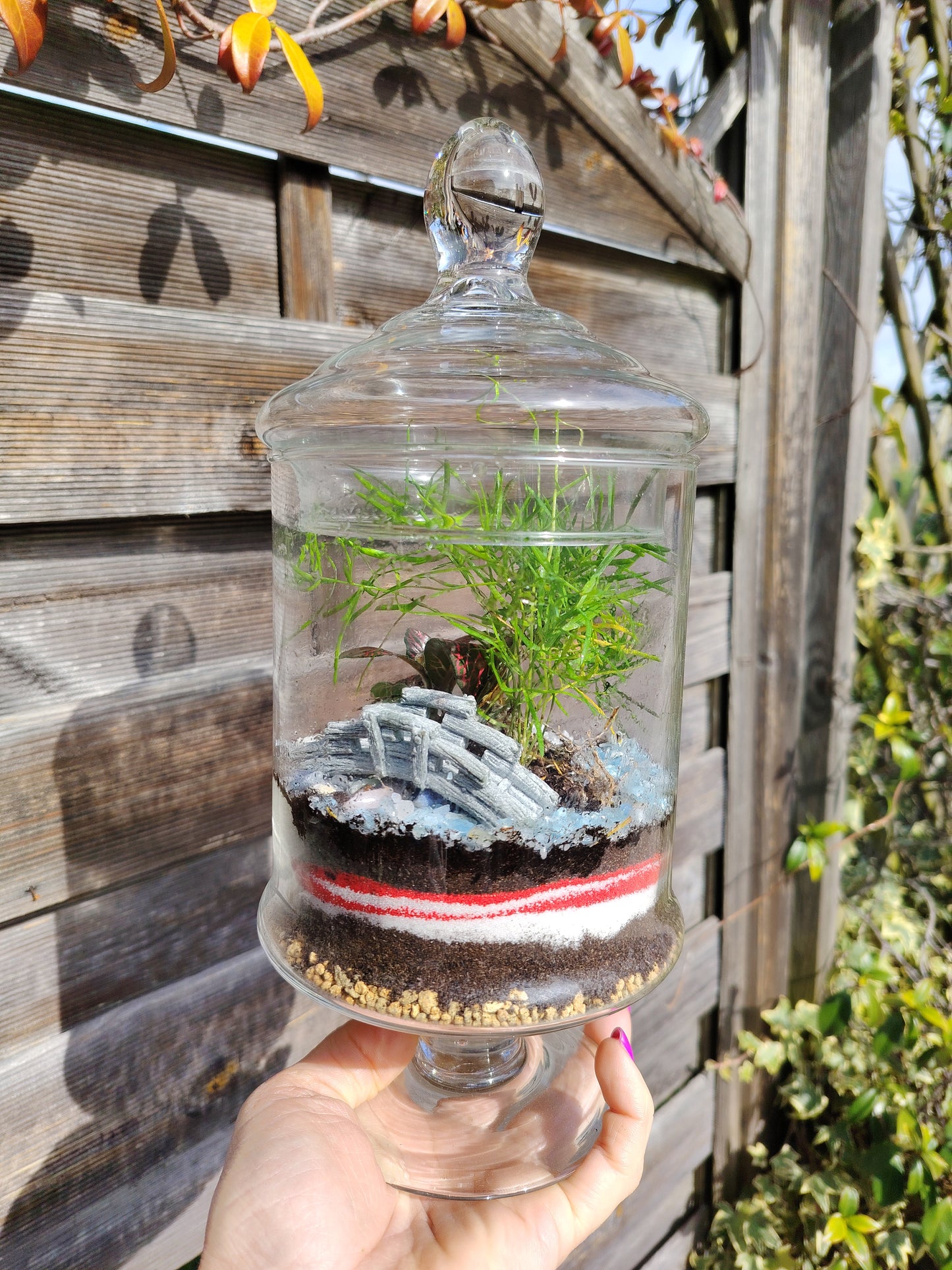 Terrarium “Oasi” _ un giardino sottovetro