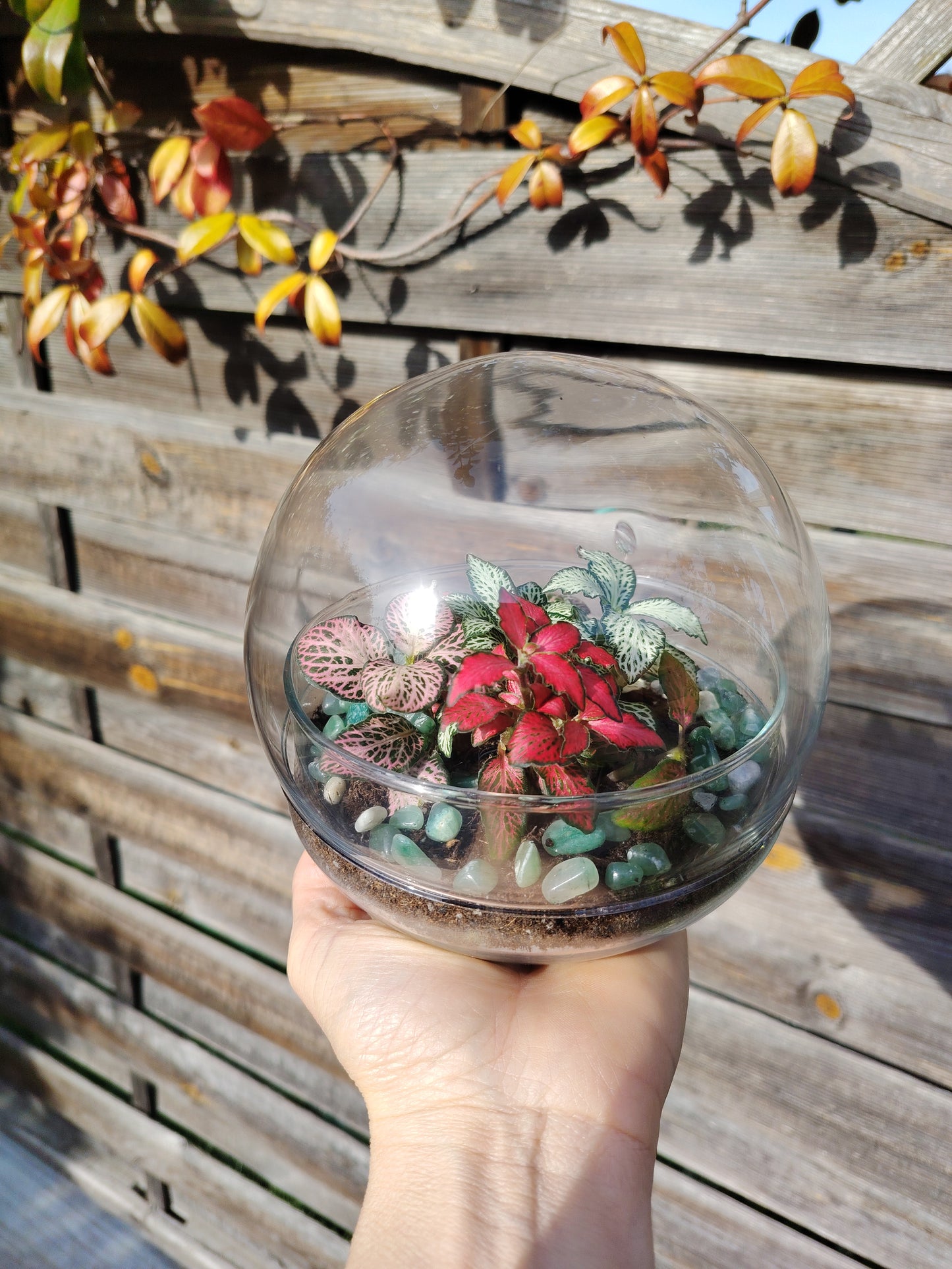 Terrarium Globo