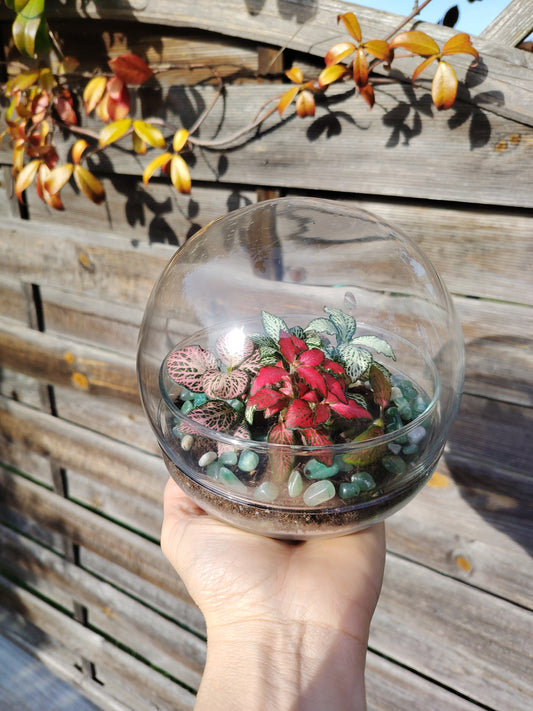 Terrarium Globo