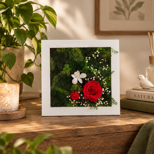 Cornice vegetale “Romantic” – rose stabilizzate rosse e Orchidea bianca