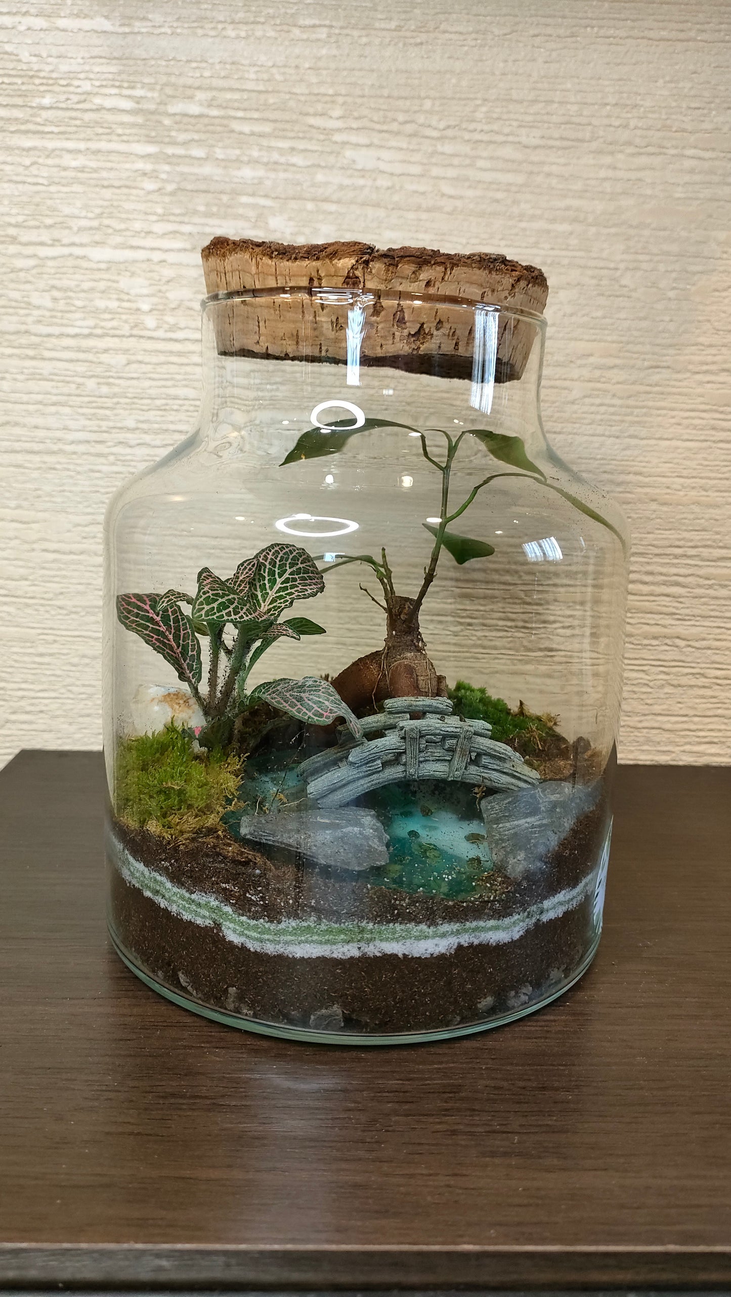 Terrarium Damigiana