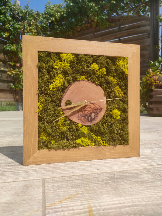 Orologio botanico con cerchio in legno massello e muschio stabilizzato