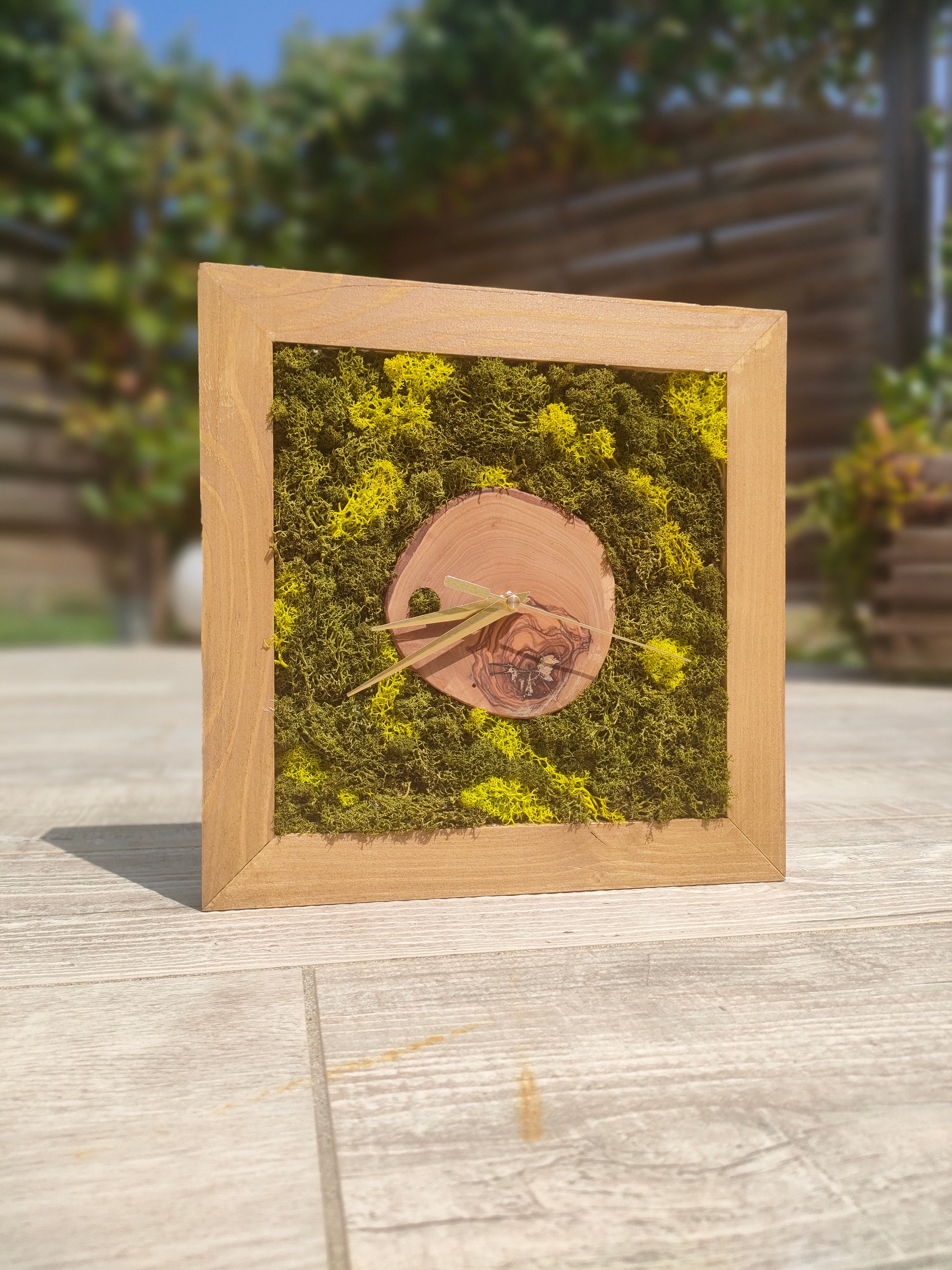 Orologio botanico con cerchio in legno massello e muschio stabilizzato