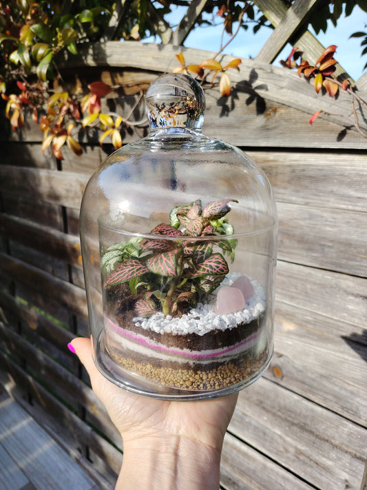 Terrarium “Gemma”
