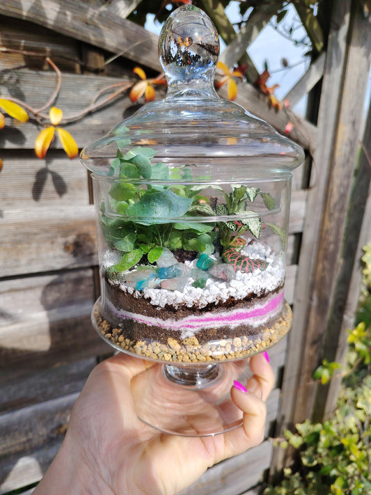 Terrarium “Oasi” _ un giardino sottovetro