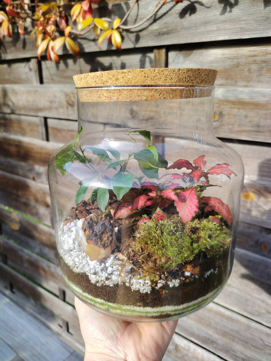 Terrarium Damigiana con Agata Grezza